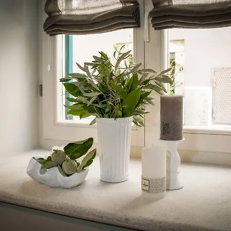 Apartment Yellow House